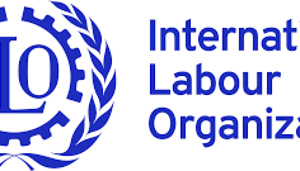 ilo National Project Coordinator Vacancy-Job Ref: JKNGILO/2010/2023922